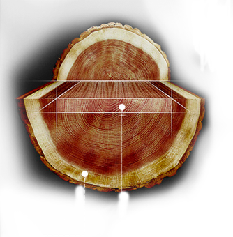 首页| j9直营集团官方网站