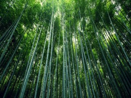 首页| j9直营集团官方网站